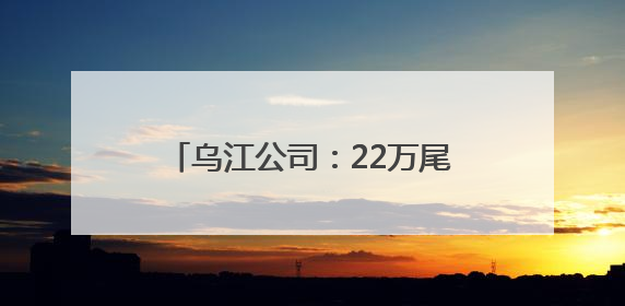 乌江公司：22万尾鱼苗在乌江“安家”