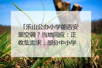 乐山公办小学能否安装空调？当地回应：正收集需求，部分中小学已启动安装｜云求助