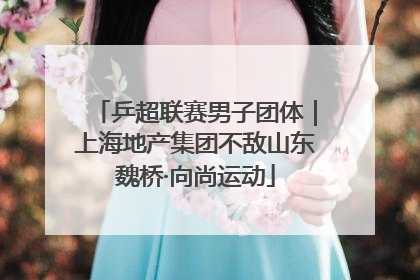 乒超联赛男子团体｜上海地产集团不敌山东魏桥·向尚运动