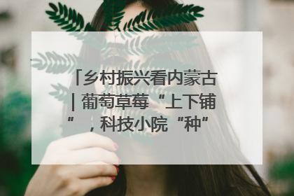 乡村振兴看内蒙古｜葡萄草莓“上下铺”，科技小院“种”出三倍效益