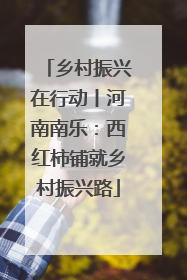 乡村振兴在行动丨河南南乐：西红柿铺就乡村振兴路