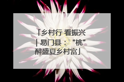 乡村行 看振兴｜易门县：“桃”醉盛夏乡村富