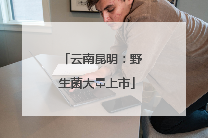 云南昆明：野生菌大量上市