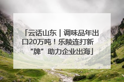 云话山东｜调味品年出口20万吨！乐陵连打新“牌”助力企业出海