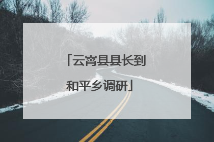 云霄县县长到和平乡调研