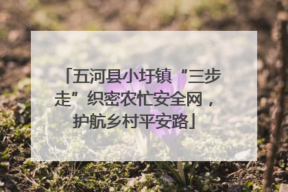 五河县小圩镇“三步走”织密农忙安全网，护航乡村平安路