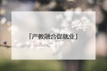 产教融合促就业