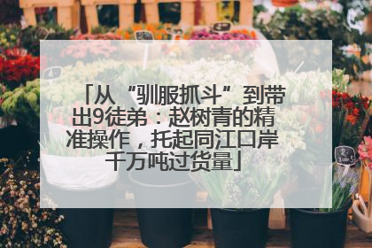 从“驯服抓斗”到带出9徒弟：赵树青的精准操作，托起同江口岸千万吨过货量