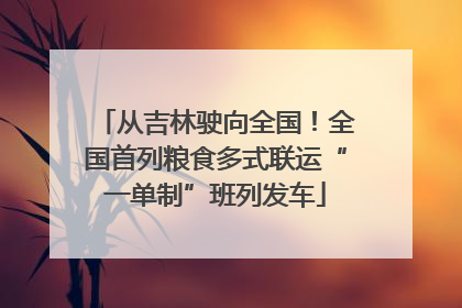 从吉林驶向全国！全国首列粮食多式联运“一单制”班列发车