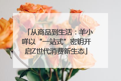 从商品到生活：羊小咩以“一站式”密钥开启Z世代消费新生态