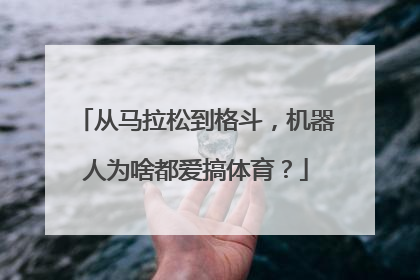 从马拉松到格斗，机器人为啥都爱搞体育？