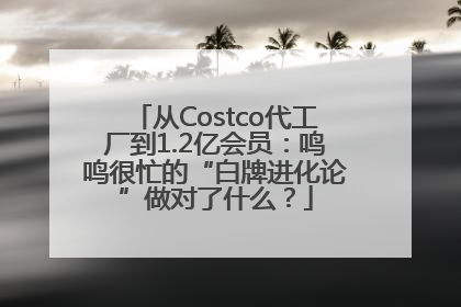 从Costco代工厂到1.2亿会员：鸣鸣很忙的“白牌进化论”做对了什么？