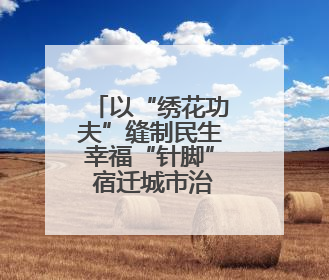 以“绣花功夫”缝制民生幸福“针脚” 宿迁城市治理“十项行动”加速落地
