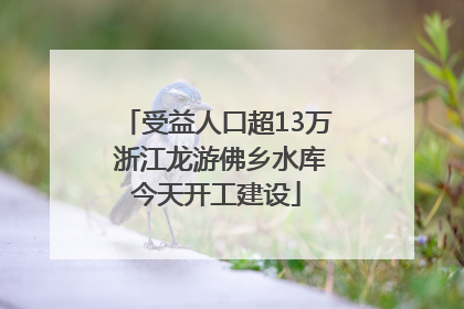受益人口超13万 浙江龙游佛乡水库今天开工建设