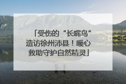 受伤的“长嘴鸟”造访徐州沛县！暖心救助守护自然精灵