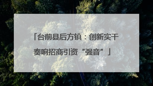 台前县后方镇：创新实干奏响招商引资“强音”