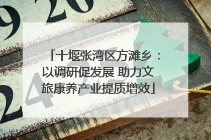 十堰张湾区方滩乡：以调研促发展 助力文旅康养产业提质增效