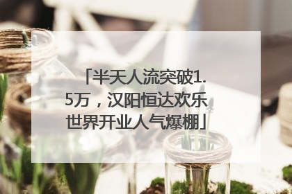 半天人流突破1.5万，汉阳恒达欢乐世界开业人气爆棚