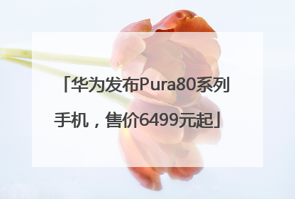 华为发布Pura80系列手机，售价6499元起