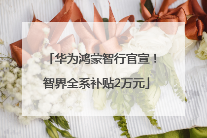 华为鸿蒙智行官宣！智界全系补贴2万元