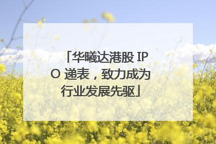 华曦达港股 IPO 递表，致力成为行业发展先驱