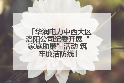 华润电力中西大区洛阳公司纪委开展“家庭助廉”活动 筑牢廉洁防线