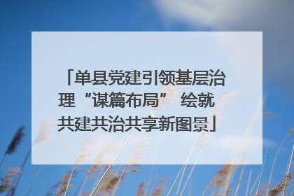 单县党建引领基层治理“谋篇布局” 绘就共建共治共享新图景