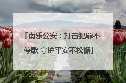 南乐公安：打击犯罪不停歇 守护平安不松懈