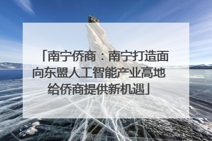 南宁侨商：南宁打造面向东盟人工智能产业高地给侨商提供新机遇