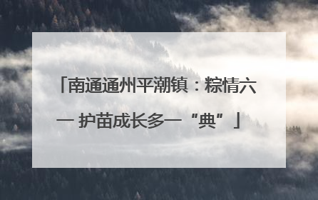 南通通州平潮镇：粽情六一 护苗成长多一“典”