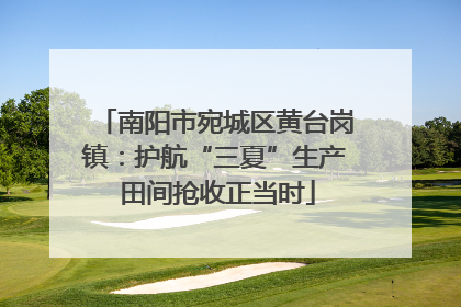 南阳市宛城区黄台岗镇：护航“三夏”生产 田间抢收正当时