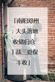 南阳邓州：大头落地 收储归仓丨战三夏保丰收