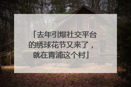 去年引爆社交平台的绣球花节又来了，就在青浦这个村