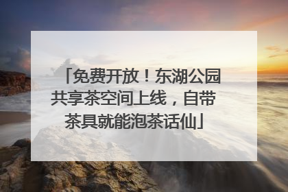免费开放！东湖公园共享茶空间上线，自带茶具就能泡茶话仙
