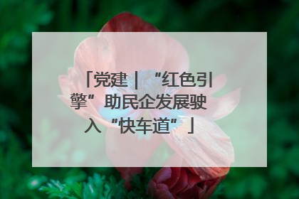 党建｜“红色引擎”助民企发展驶入“快车道”