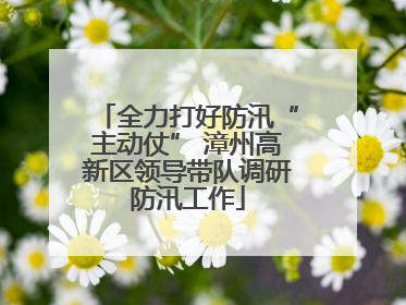全力打好防汛“主动仗” 漳州高新区领导带队调研防汛工作