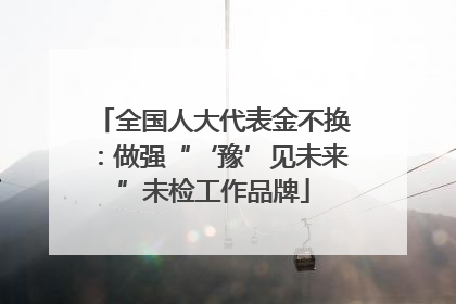 全国人大代表金不换：做强“‘豫’见未来”未检工作品牌