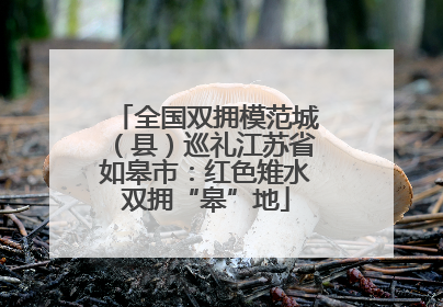 全国双拥模范城（县）巡礼江苏省如皋市：红色雉水双拥“皋”地