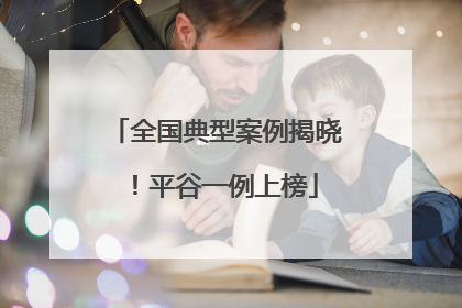 全国典型案例揭晓！平谷一例上榜