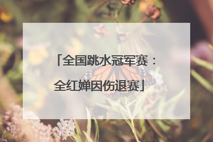 全国跳水冠军赛：全红婵因伤退赛