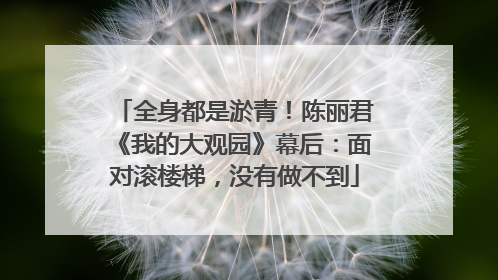 全身都是淤青！陈丽君《我的大观园》幕后：面对滚楼梯，没有做不到