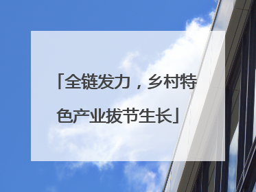 全链发力，乡村特色产业拔节生长