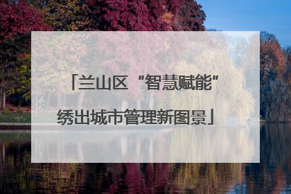兰山区“智慧赋能”绣出城市管理新图景