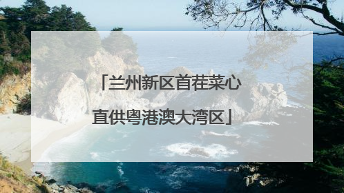 兰州新区首茬菜心直供粤港澳大湾区