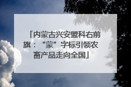 内蒙古兴安盟科右前旗：“蒙”字标引领农畜产品走向全国