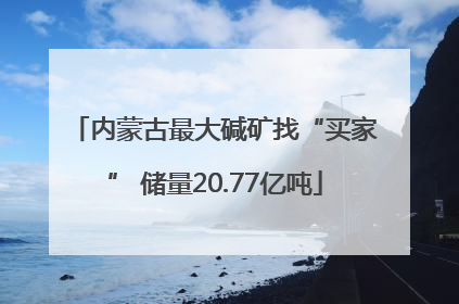 内蒙古最大碱矿找“买家” 储量20.77亿吨