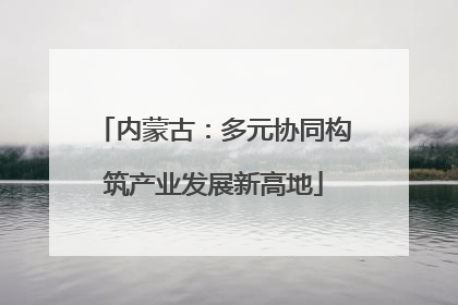 内蒙古：多元协同构筑产业发展新高地