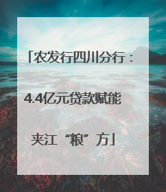 农发行四川分行：4.4亿元贷款赋能夹江“粮”方