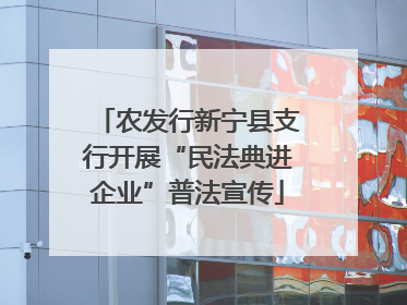 农发行新宁县支行开展“民法典进企业”普法宣传
