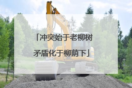 冲突始于老柳树 矛盾化于柳荫下